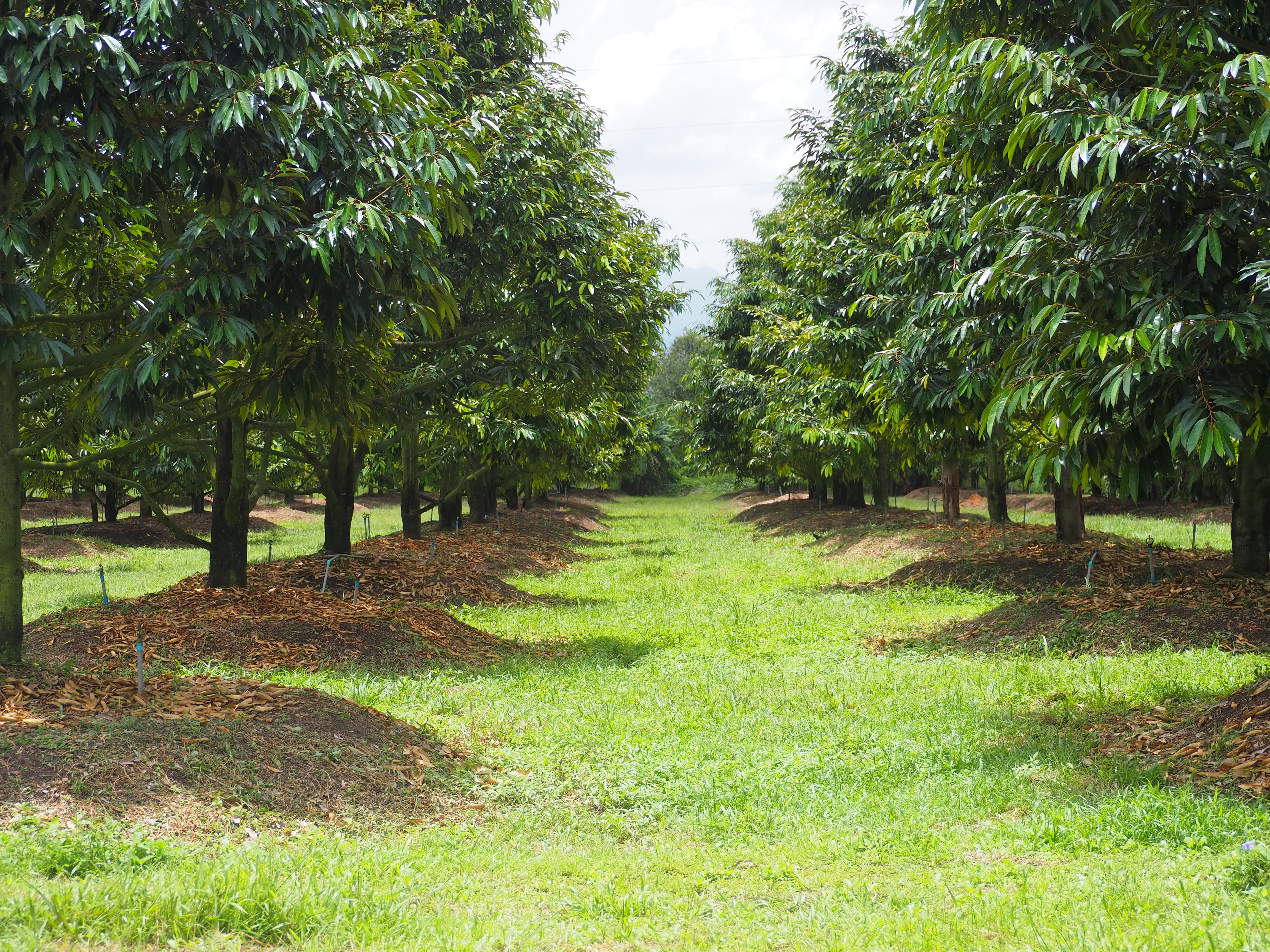 ภาพที่ 2