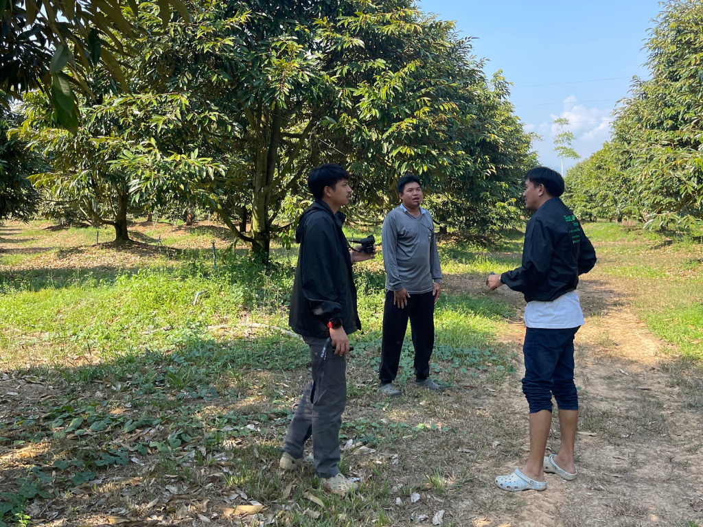 ภาพที่ 5