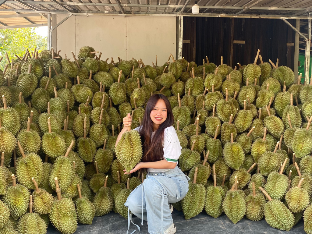 ภาพที่ 7