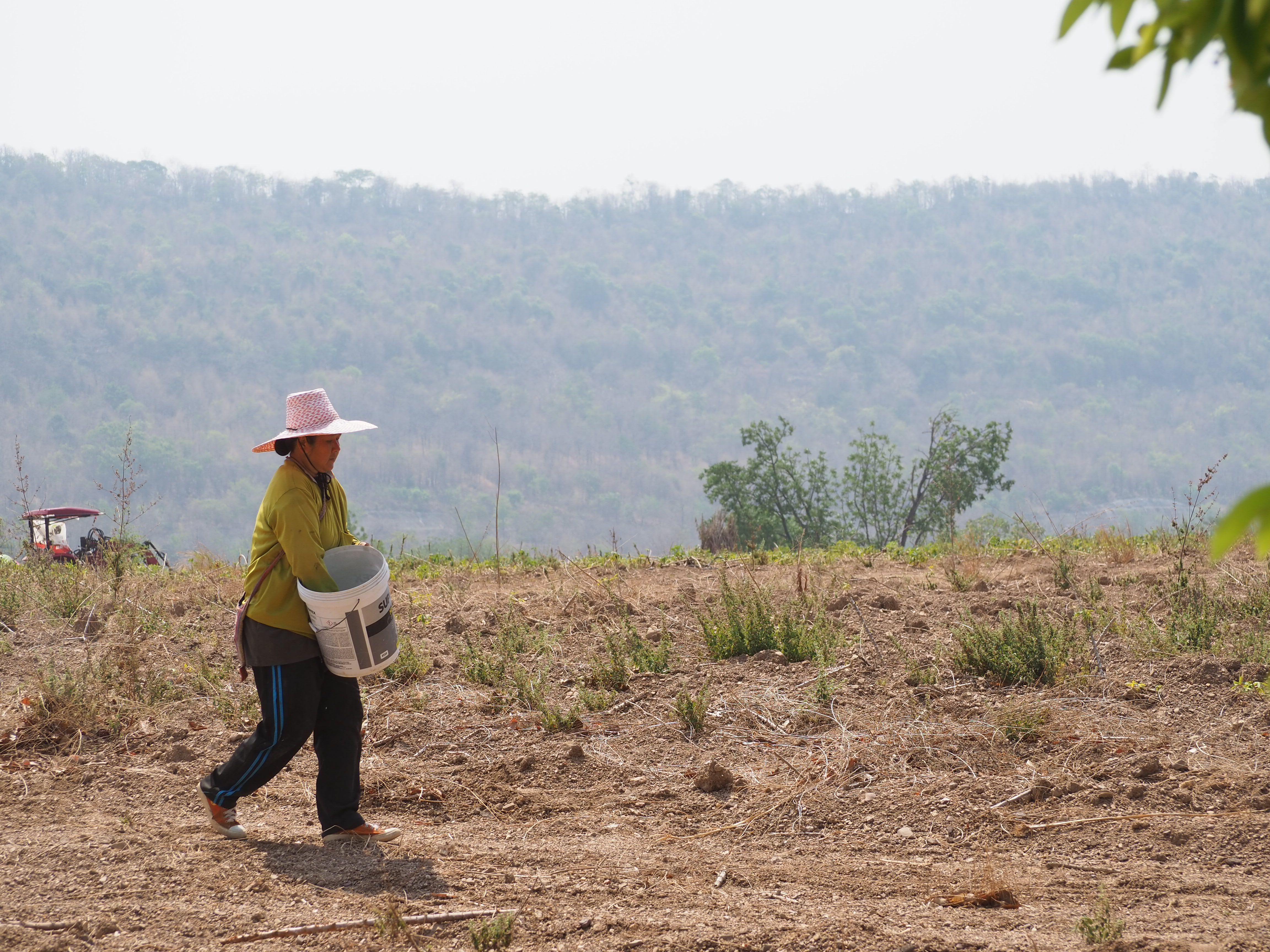 ภาพที่ 4