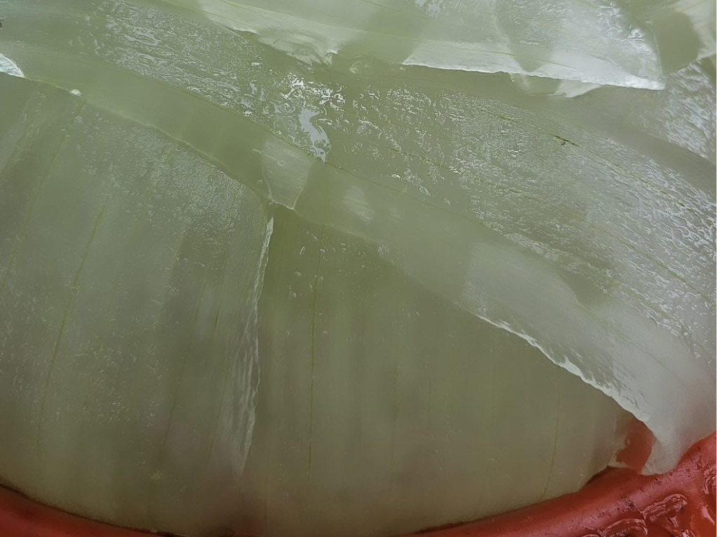 ภาพที่ 2