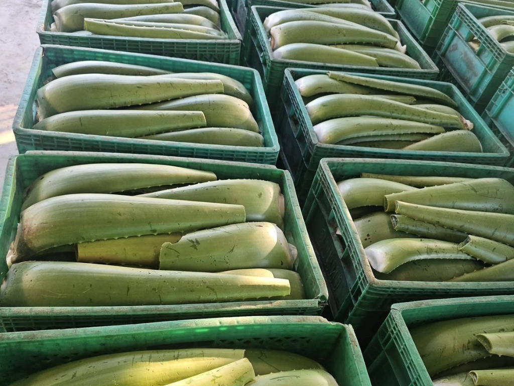 ภาพที่ 3